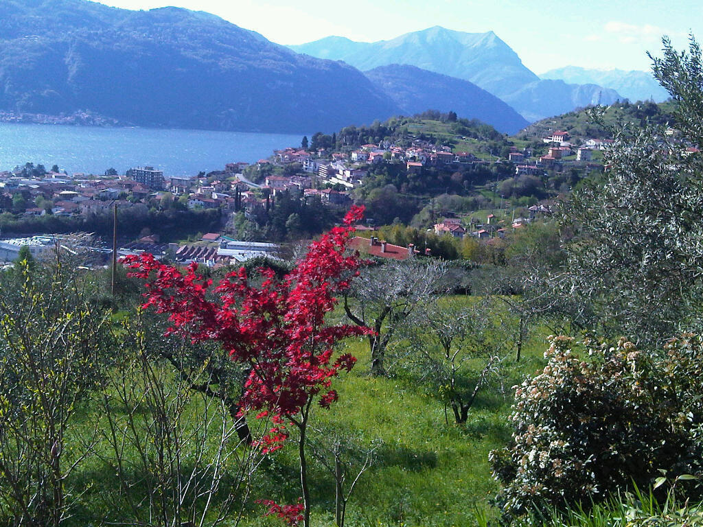 Agriturismo Crotto Di Somana マンデッロ・デル・ラーリオ エクステリア 写真